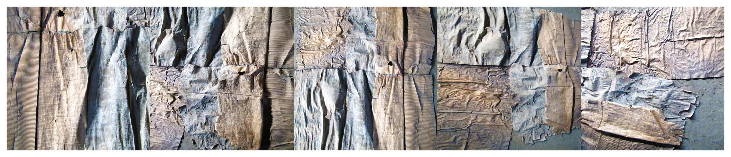 "Lifecycle" 2014 18" x 72" digital print variable sizes available