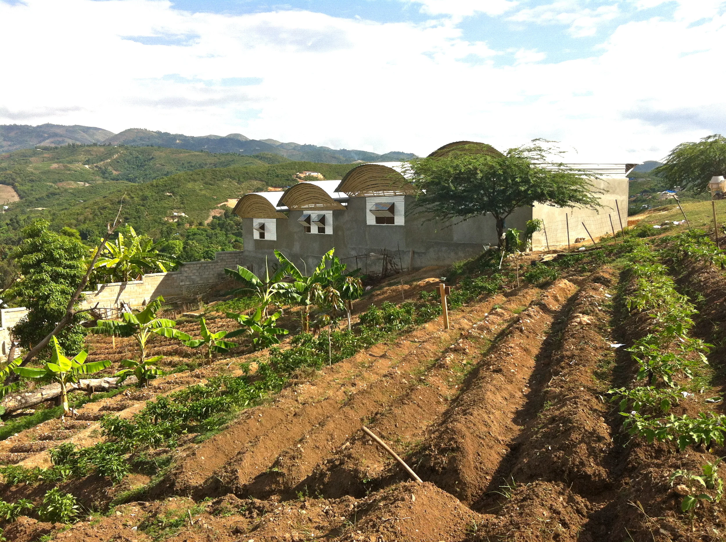  back side of building with operable louver windows gives the option of bringing in more light and air while opening up an inspiring view of a lush valley and the ocean. &nbsp; 