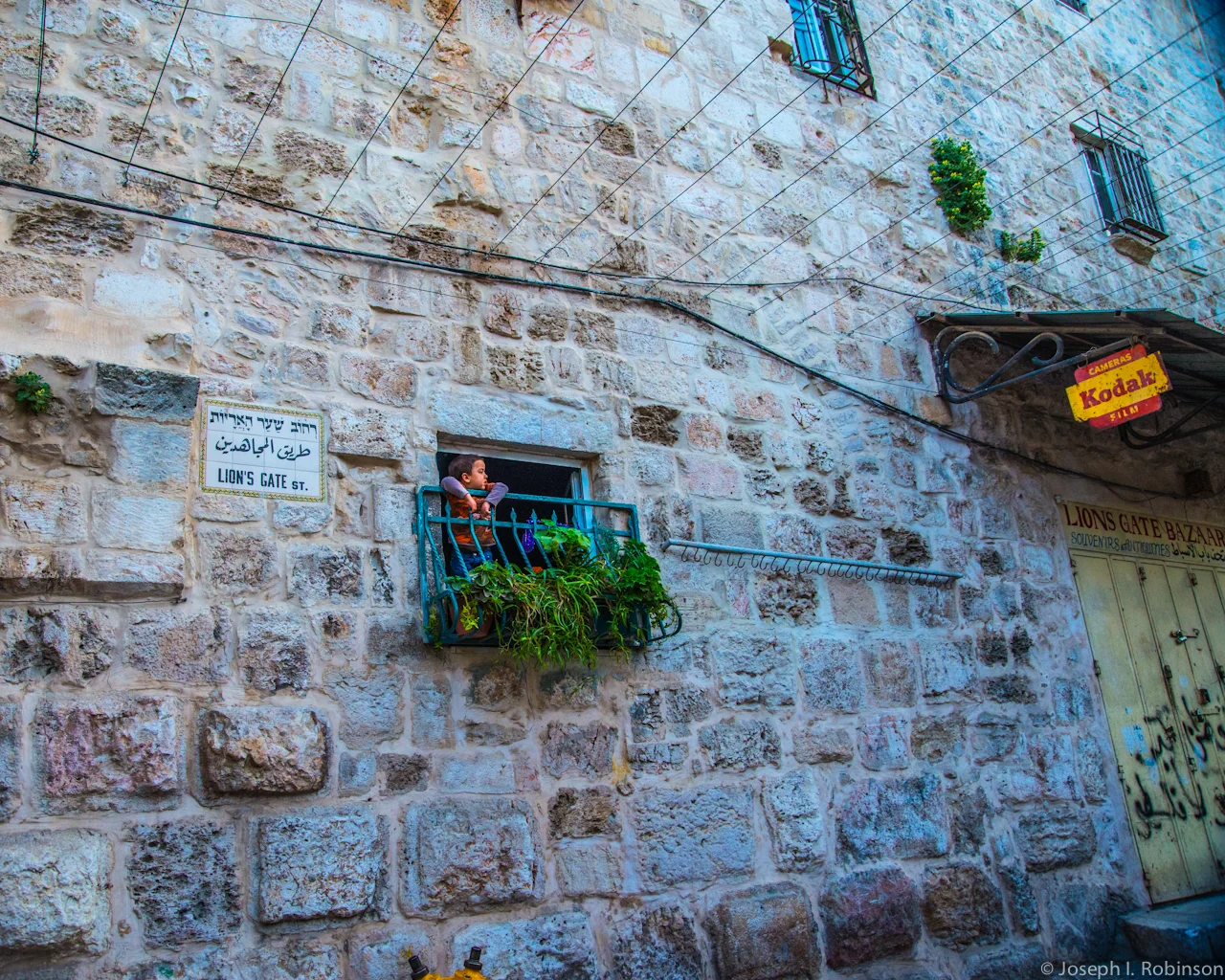 ITTEOJ - Comp-18.jpg