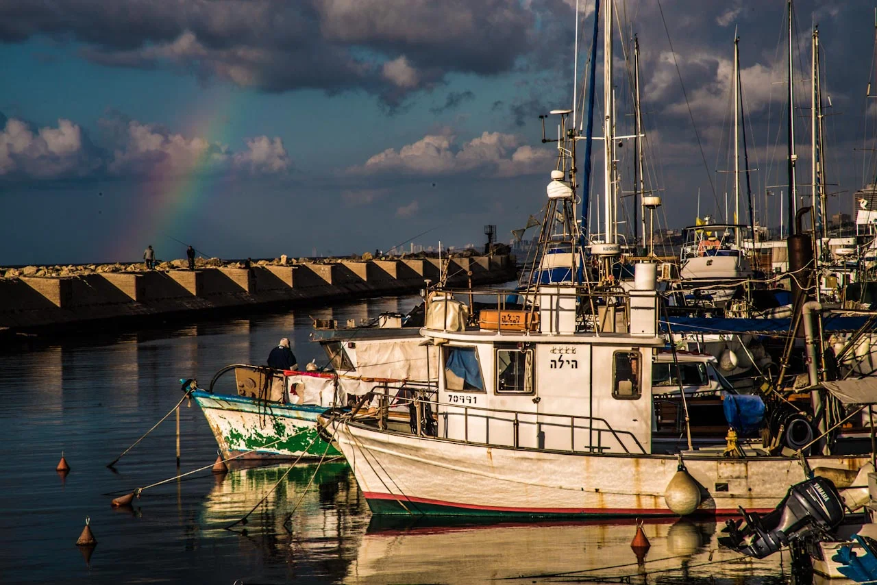 Gallery 1 Jaffa-19.jpg