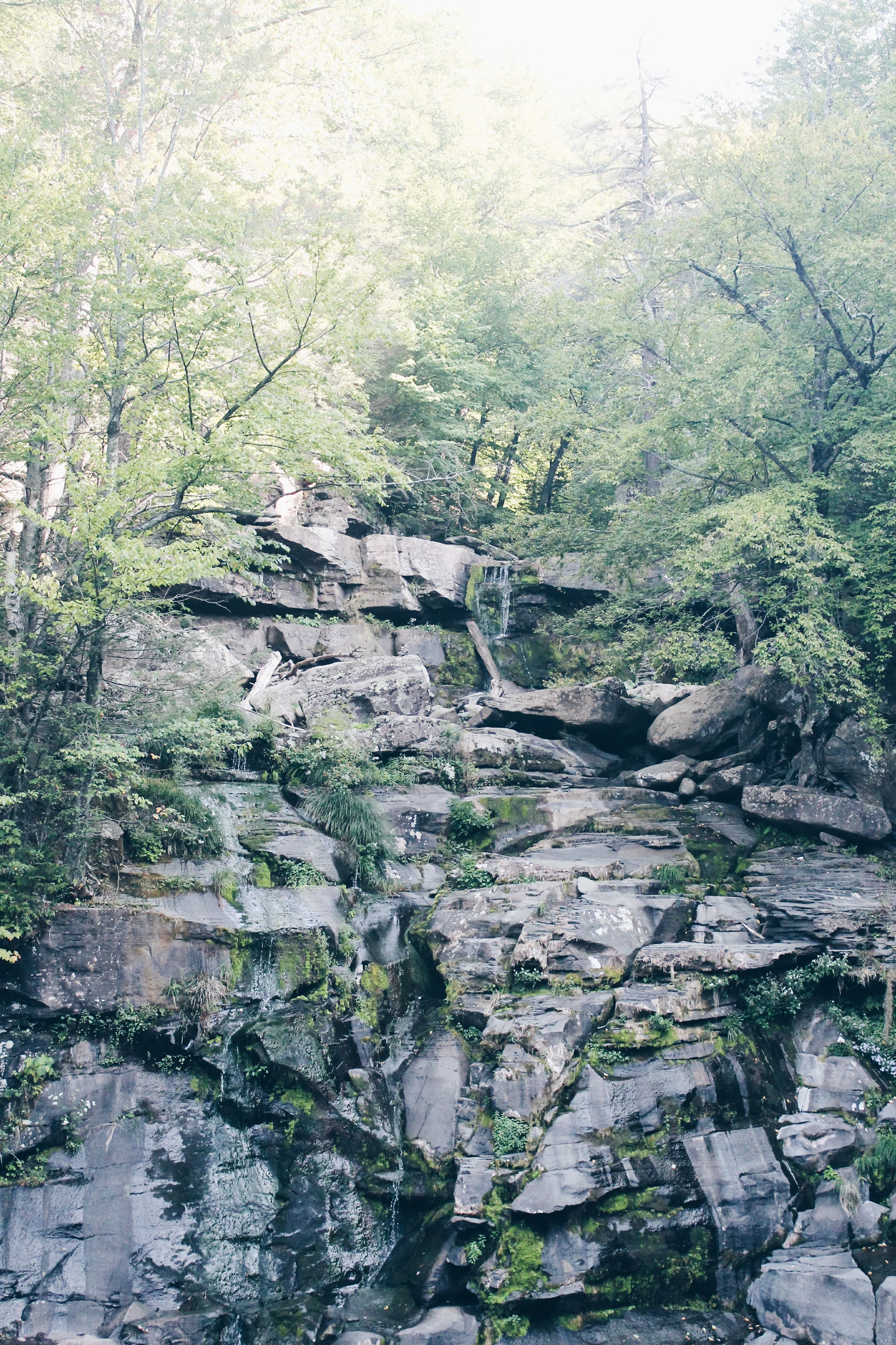 2015-09-09 08.24.18 1.jpg