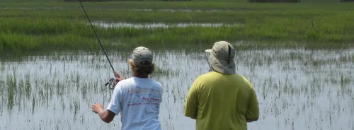 Lowcountry Outdoor Adventures, business photo 2