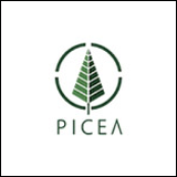15Picea.png