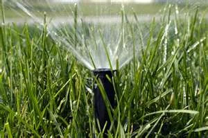 Sprinkler Head.jpg