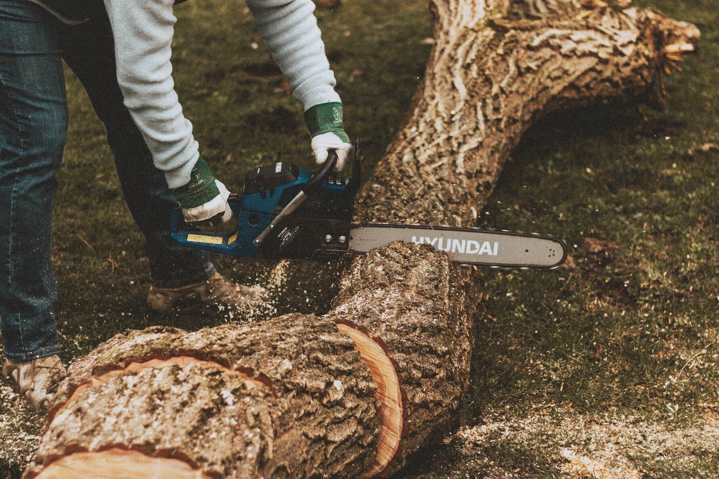 SAWW: Chainsaw Safety, Felling and Limbing 