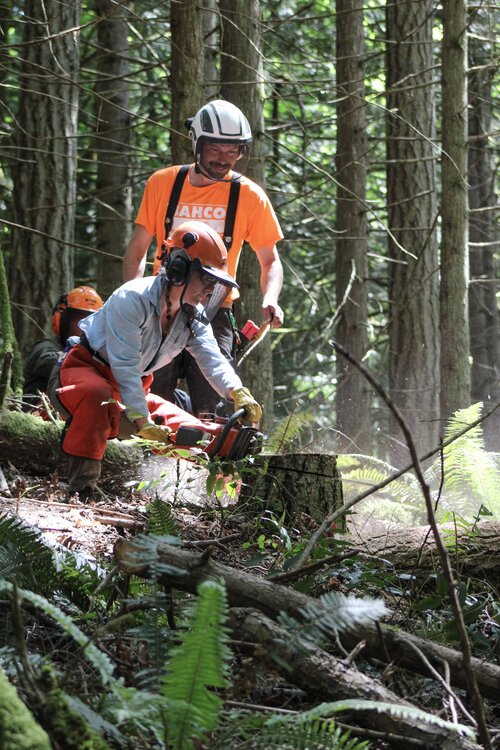 SAWW: Chainsaw Safety, Felling, and Limbing