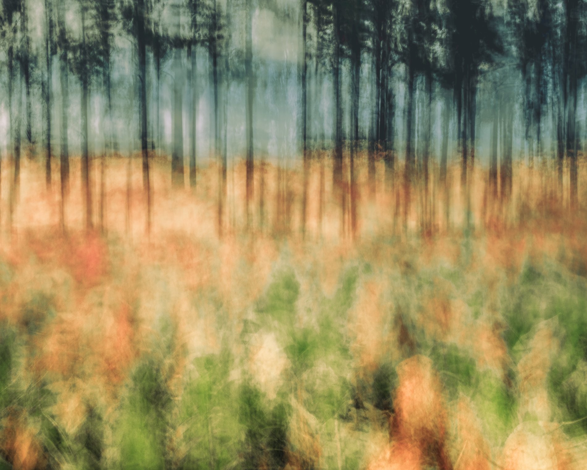 DSCF0172-Edit.jpg