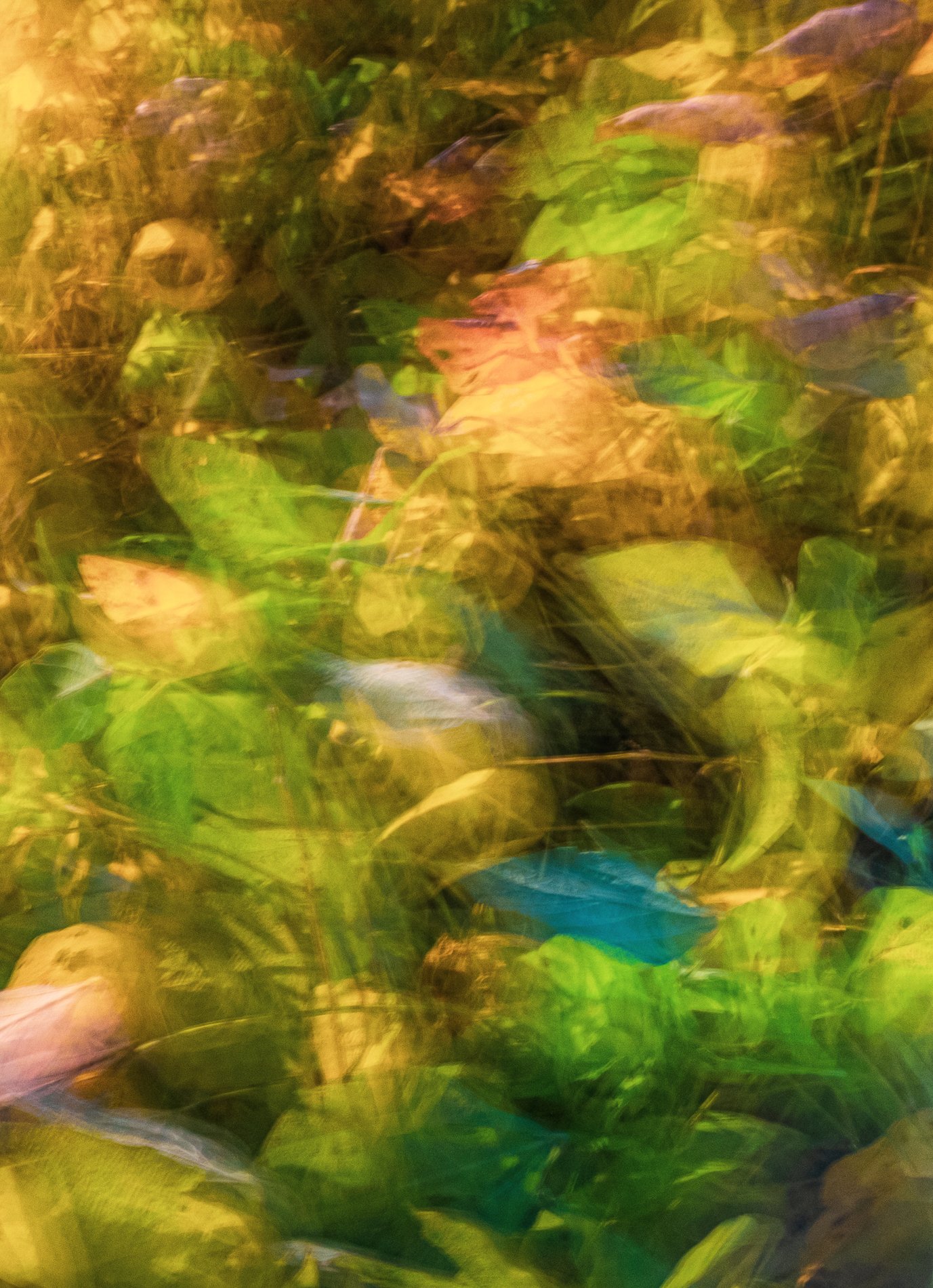 DSCF1355.jpg