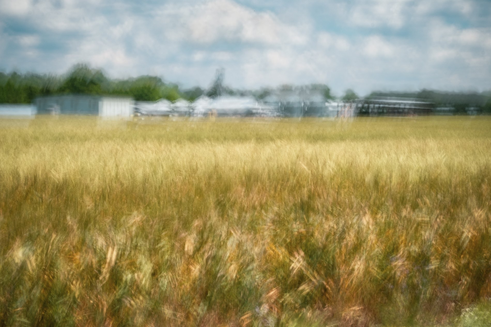 DSCF8218-Edit-Edit.jpg
