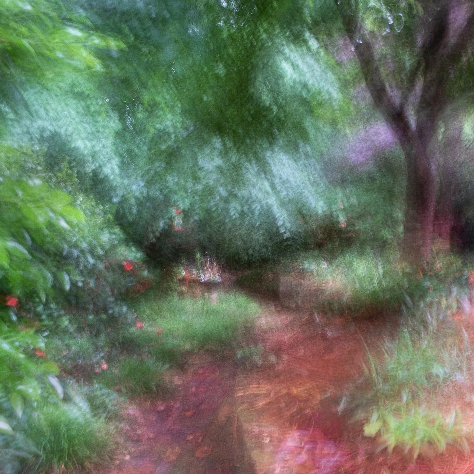 DSCF8019.jpg