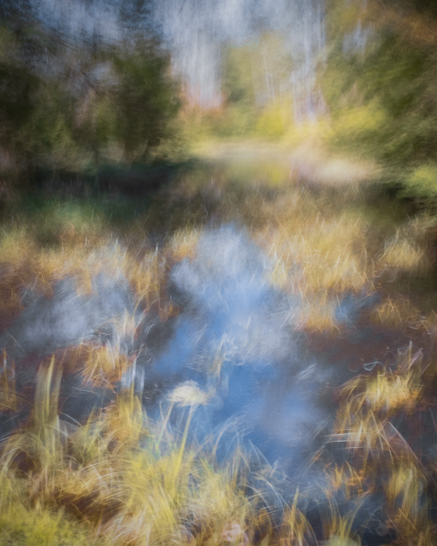 DSCF7884-Edit-2.jpg