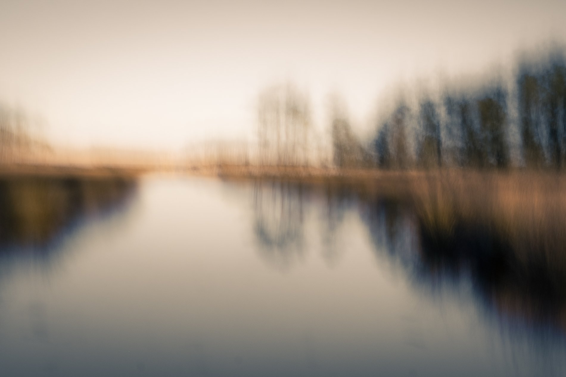 DSCF7595-Edit-2.jpg