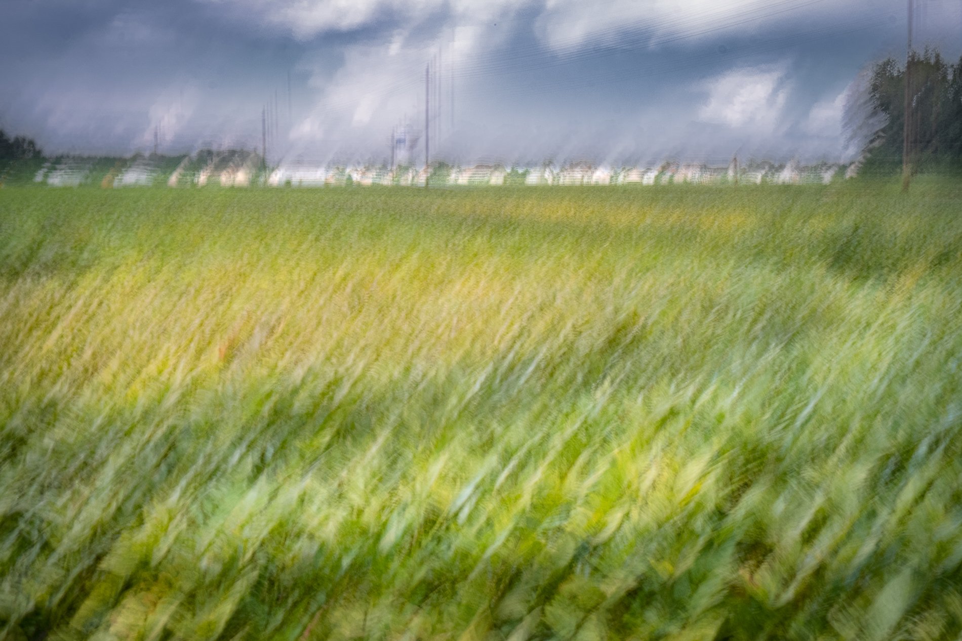 DSCF9717.jpg