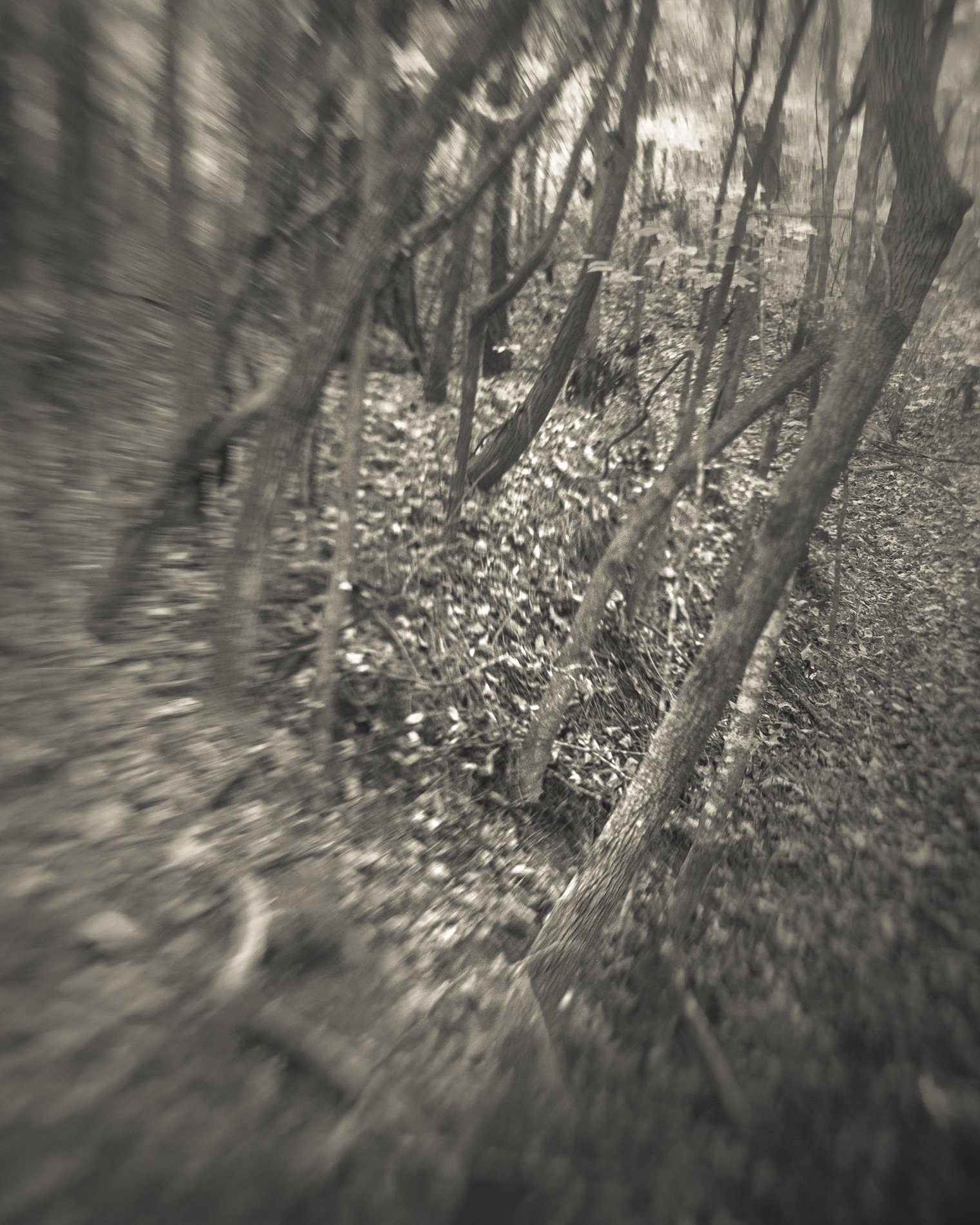 DSCF6404.jpg