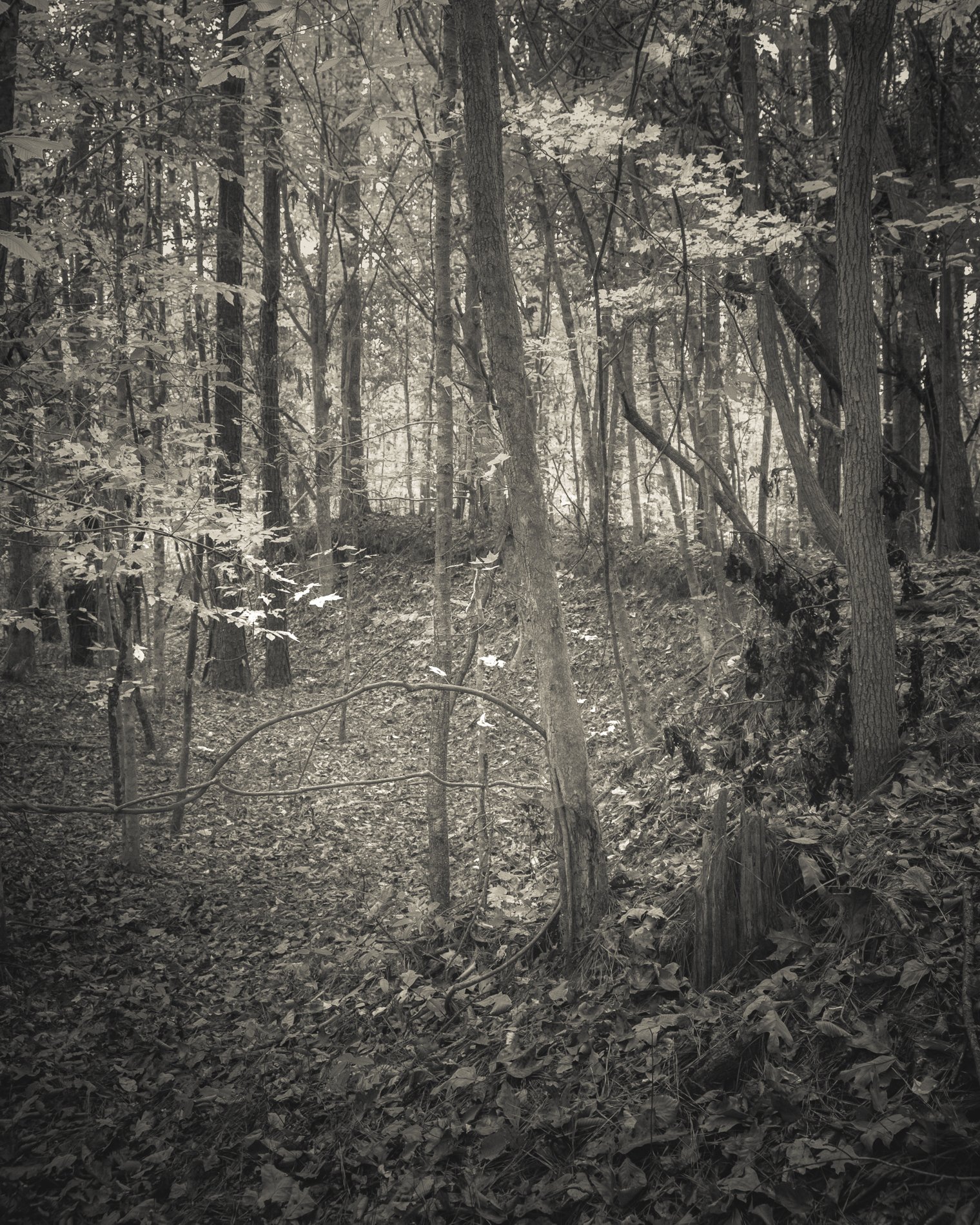 DSCF6409.jpg