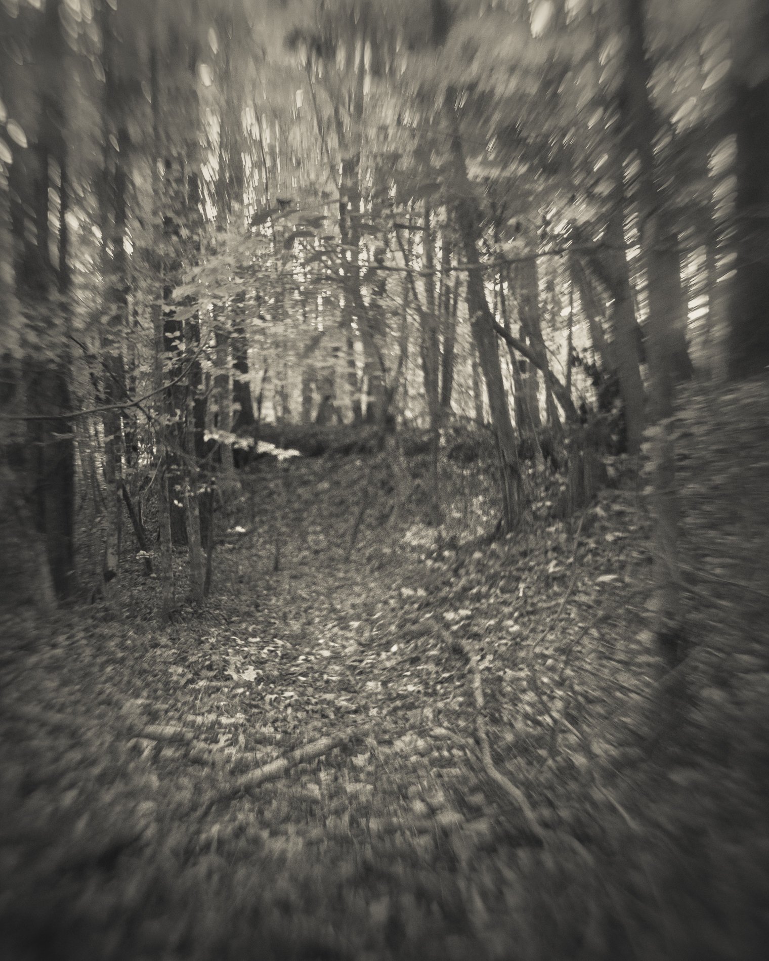 DSCF6415.jpg