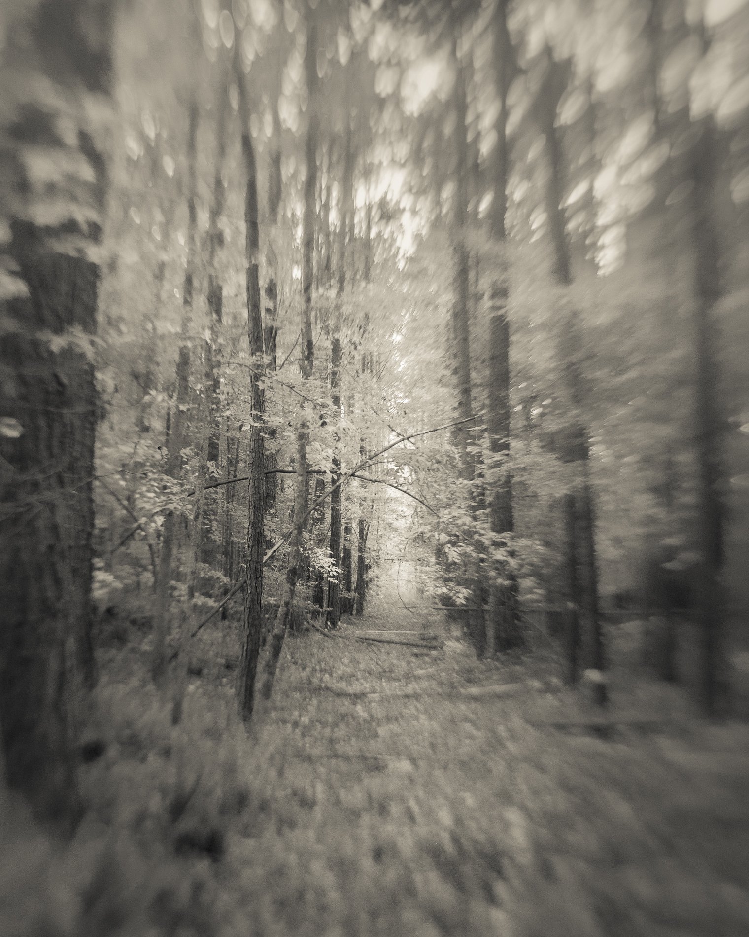 DSCF6416.jpg
