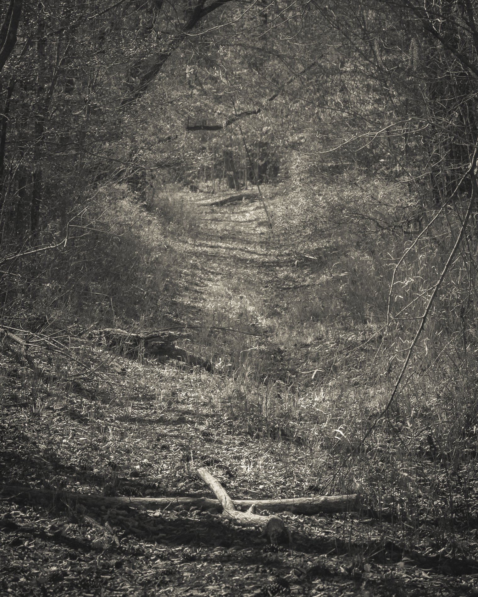 DSCF7394.jpg