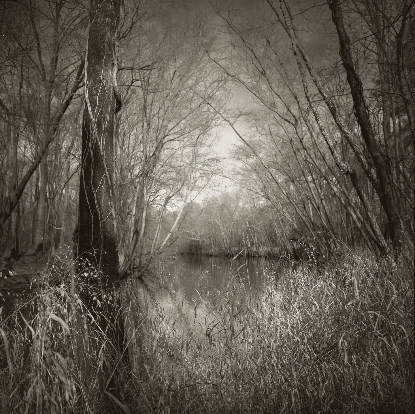 Mamiya9_1200_21-2.jpg