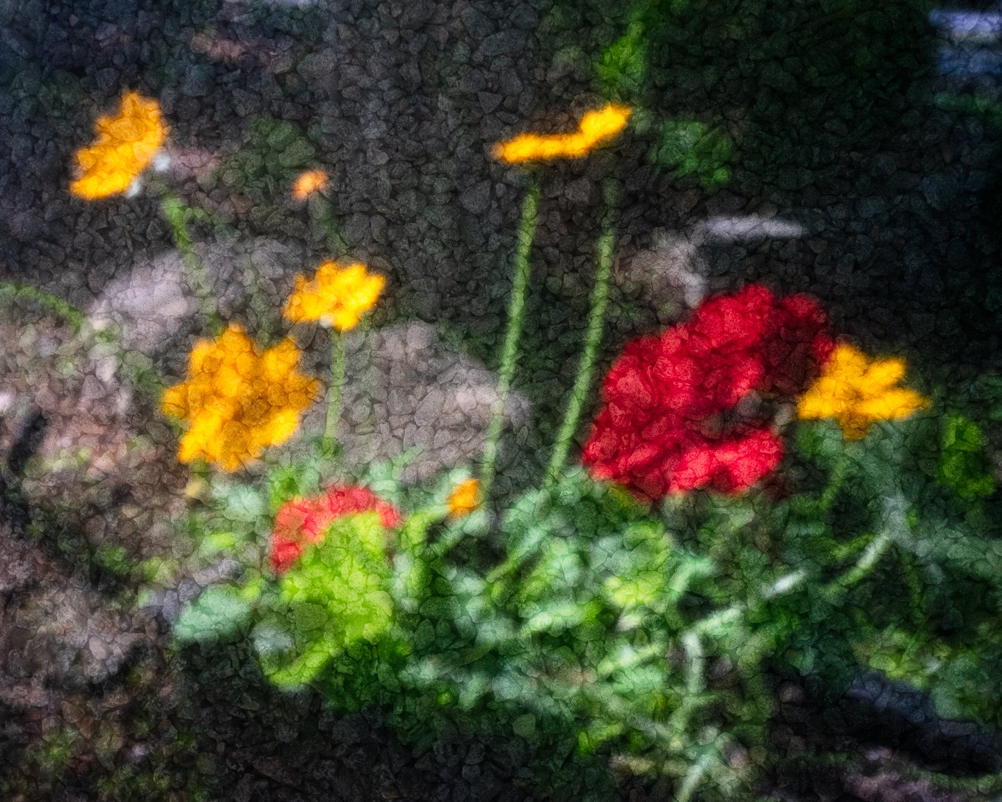 DSCF2437-Edit.jpg