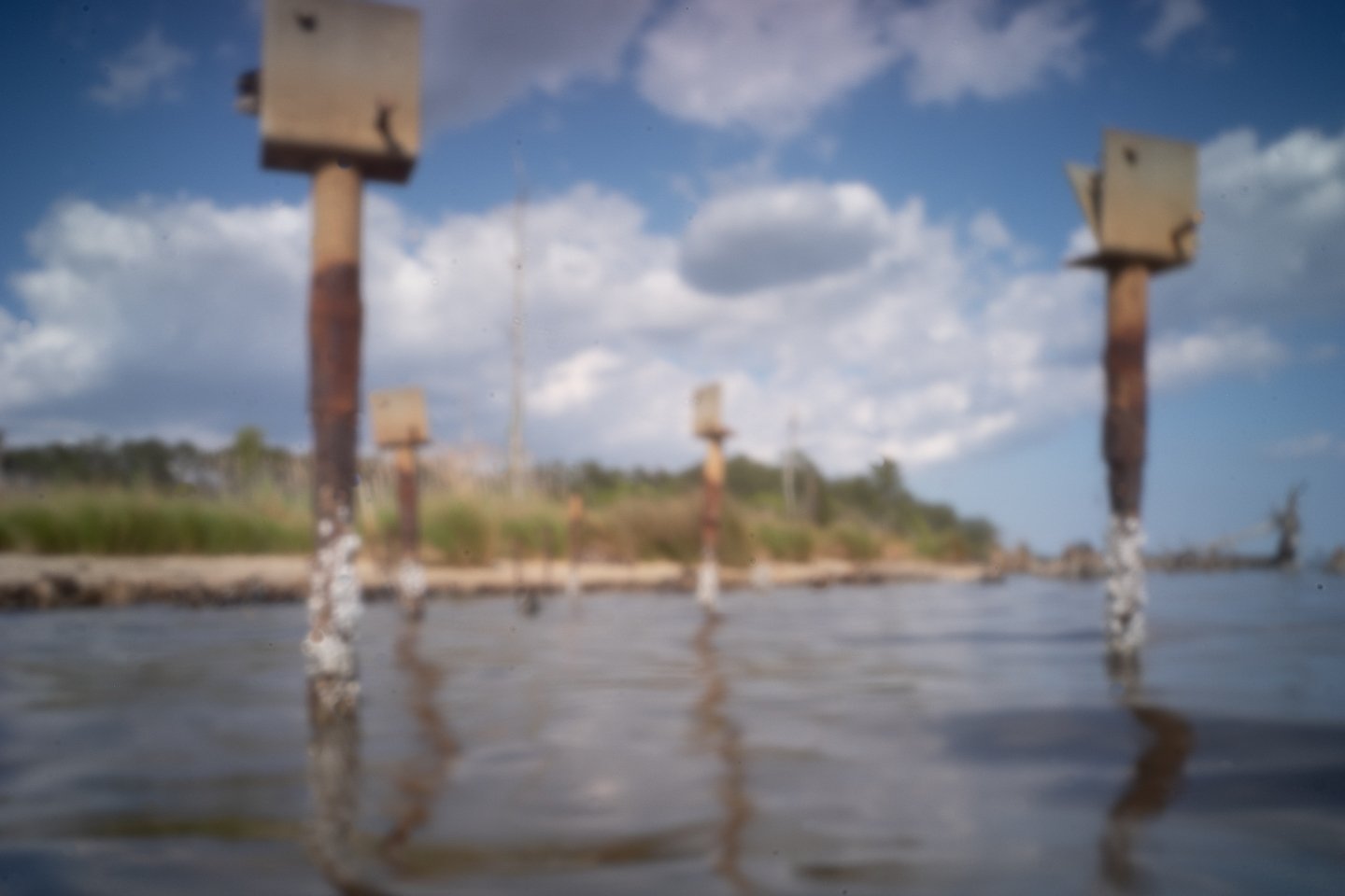 DSCF7471.jpg