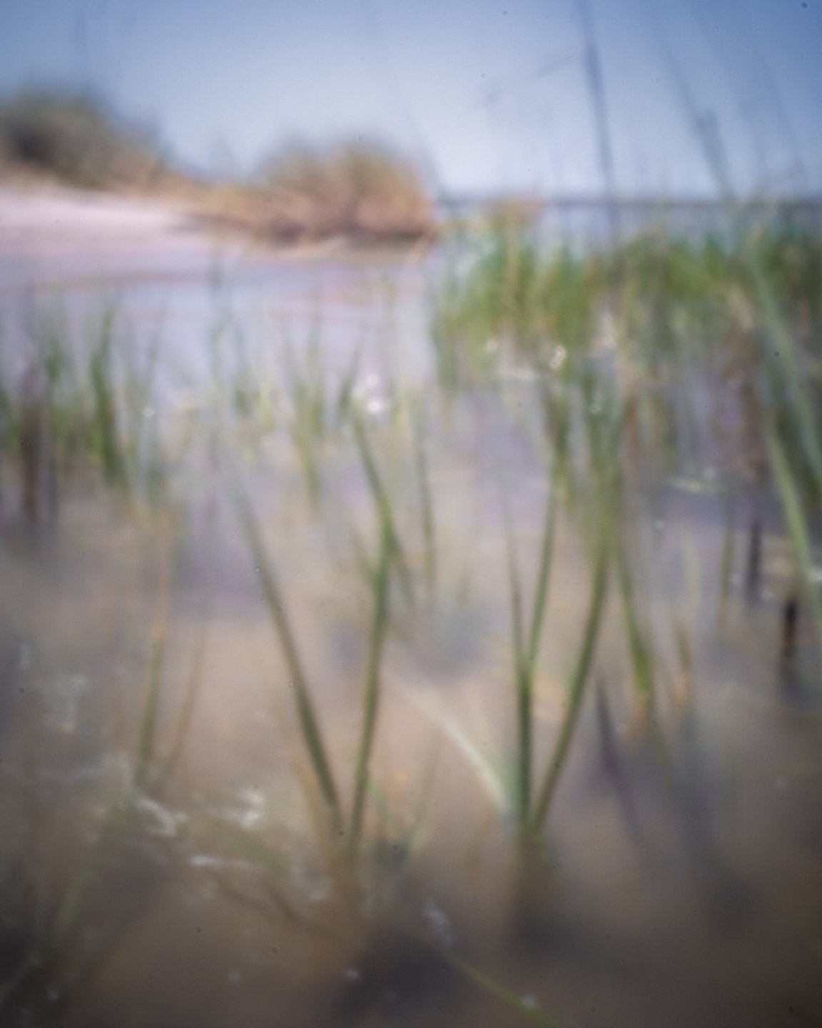 DSCF7655.jpg