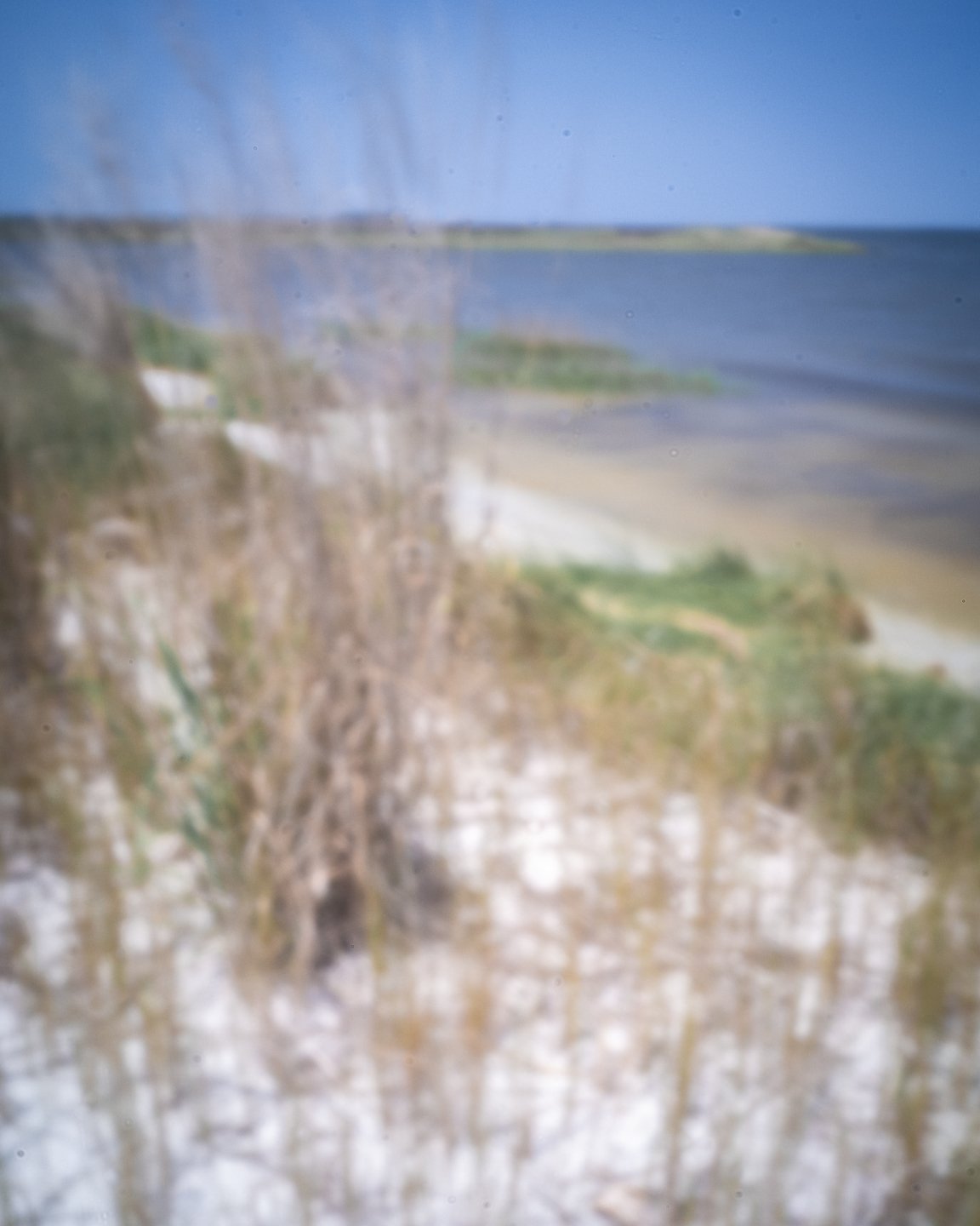 DSCF7663.jpg