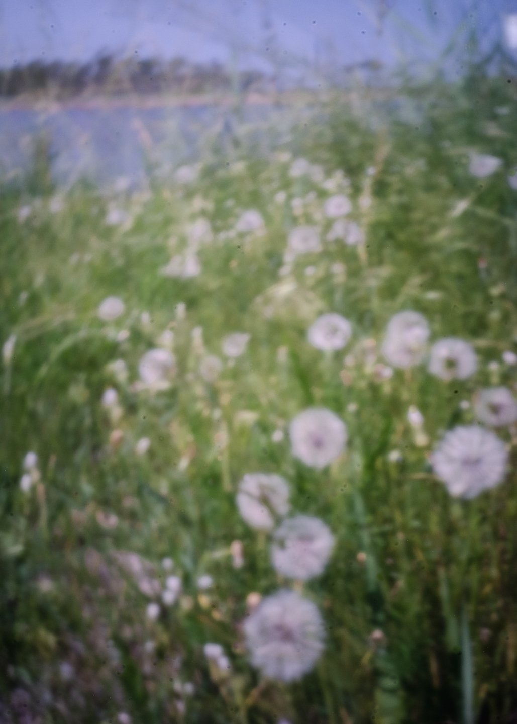 DSCF7694.jpg