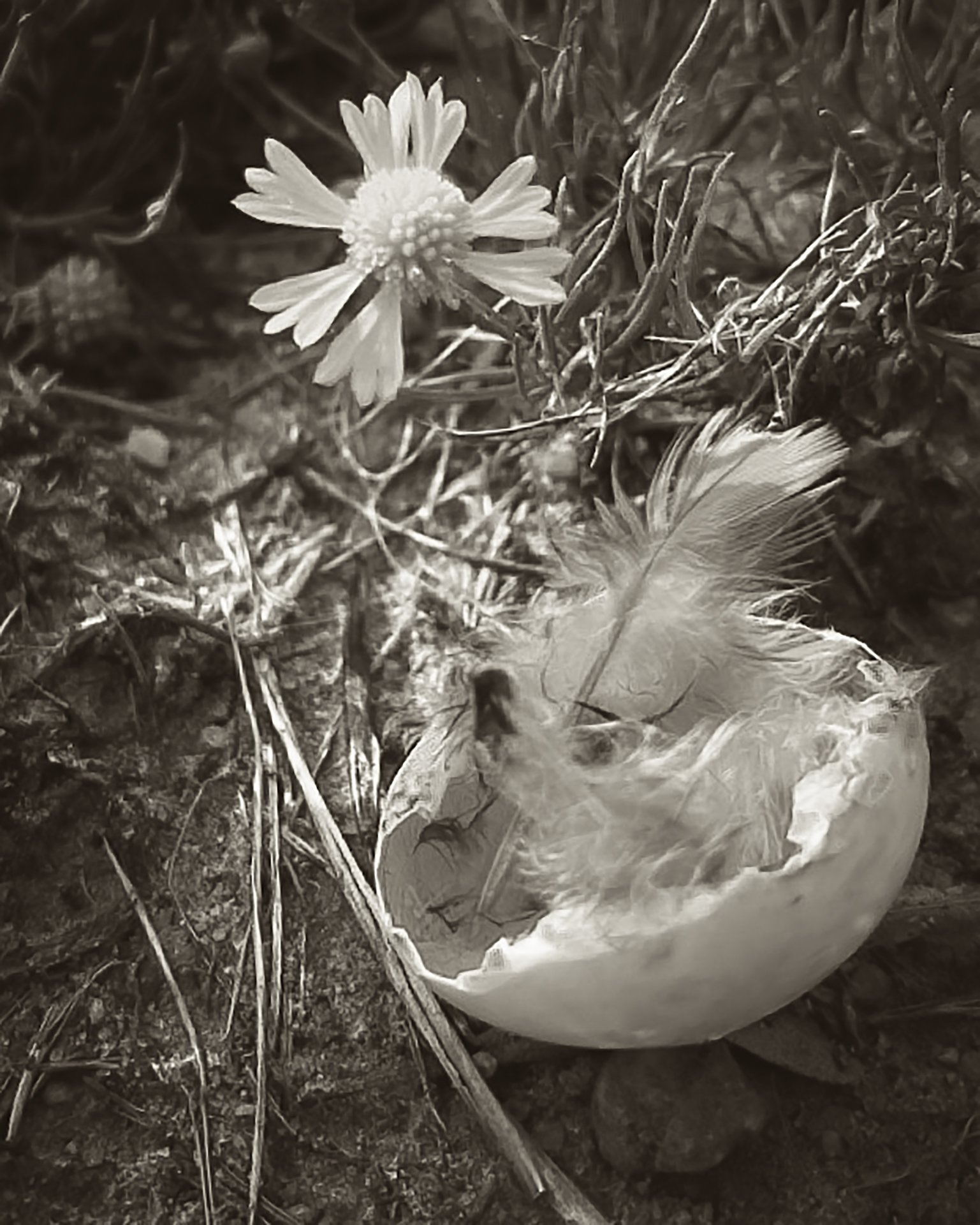 Imp070222-22.jpg