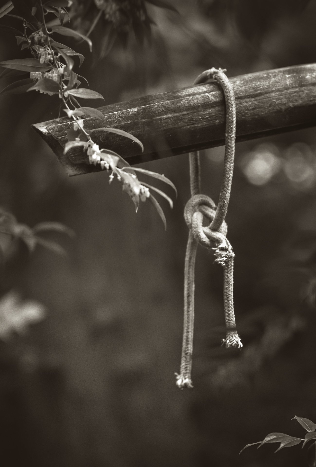 Imp070222-23.jpg