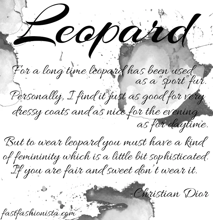 Leopard-1.jpg