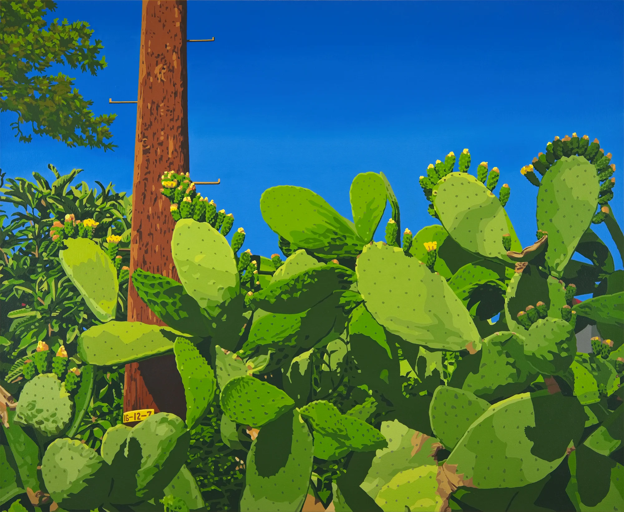 Mount Washington Cactus // 44"x36" // oil on canvas