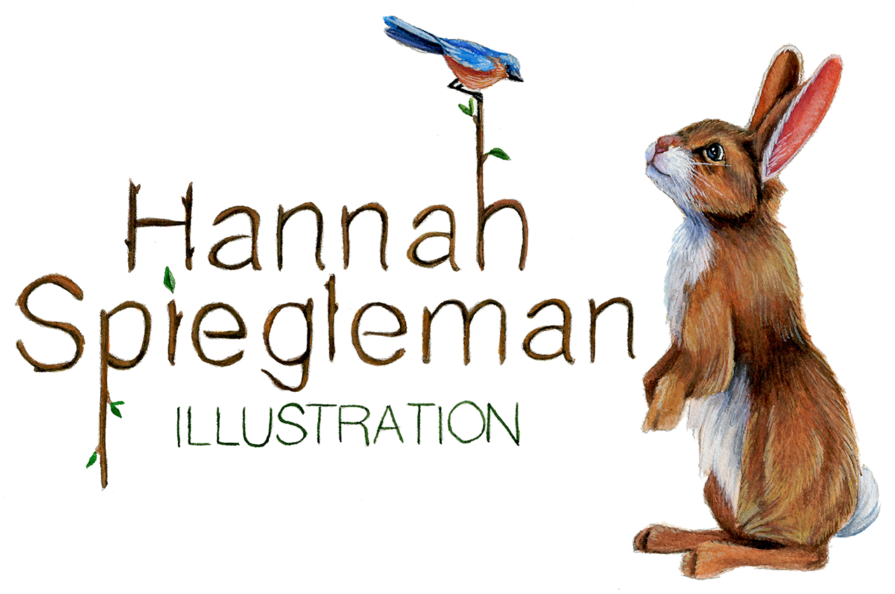 Hannah Spiegleman Illustration
