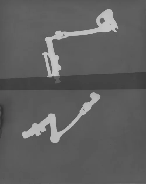 X-RAY VII 2013 PHOTOGRAM