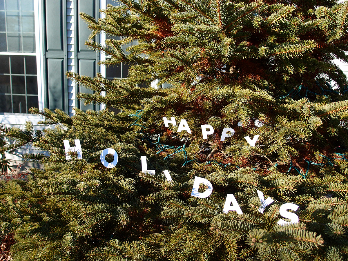     December 25:   Paper letters made their way into the tree. Happy Holidays everyone!  