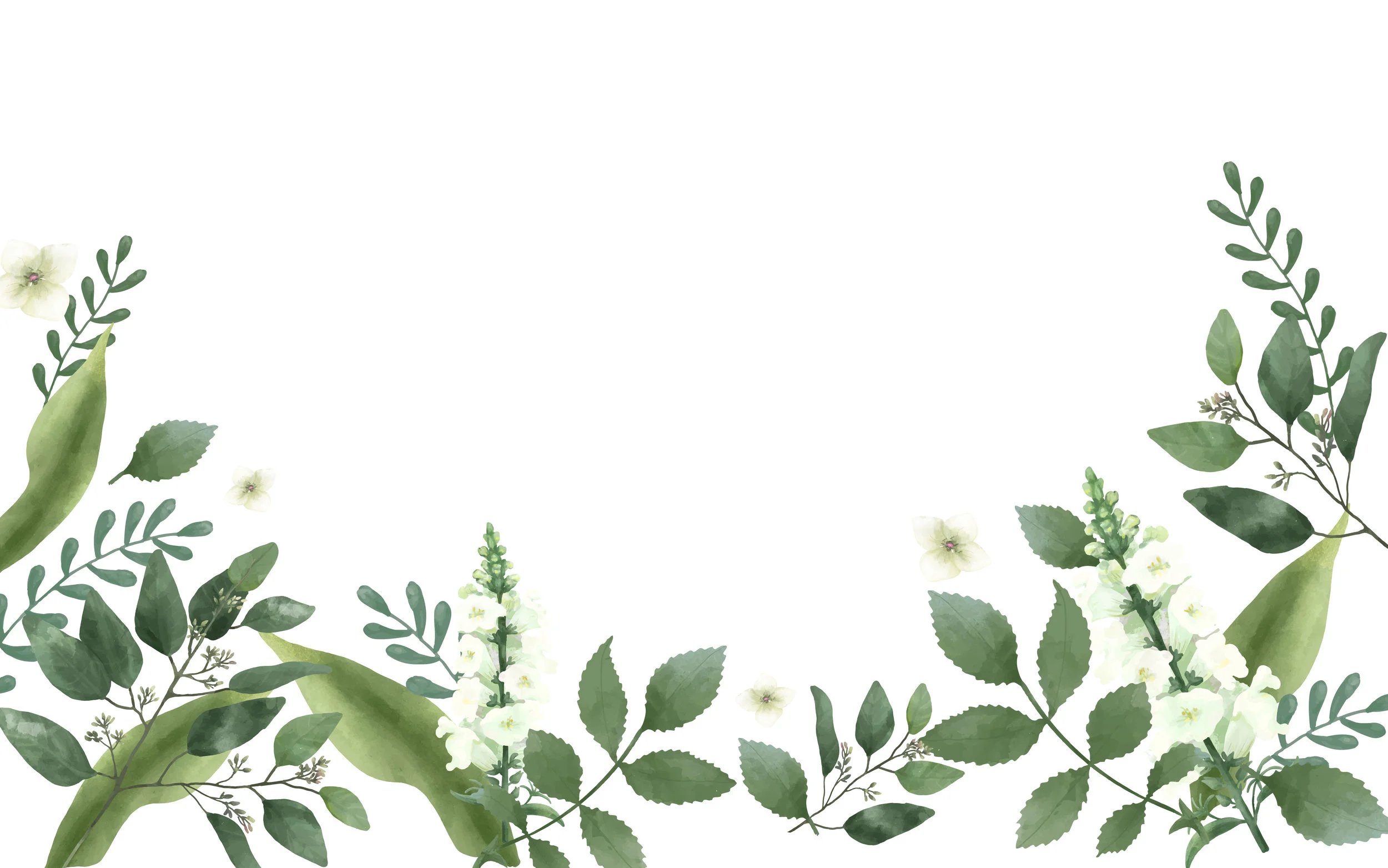 comingsoon.jpg
