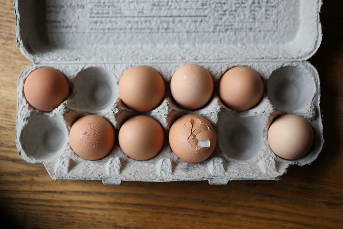 20130626eggs.jpg