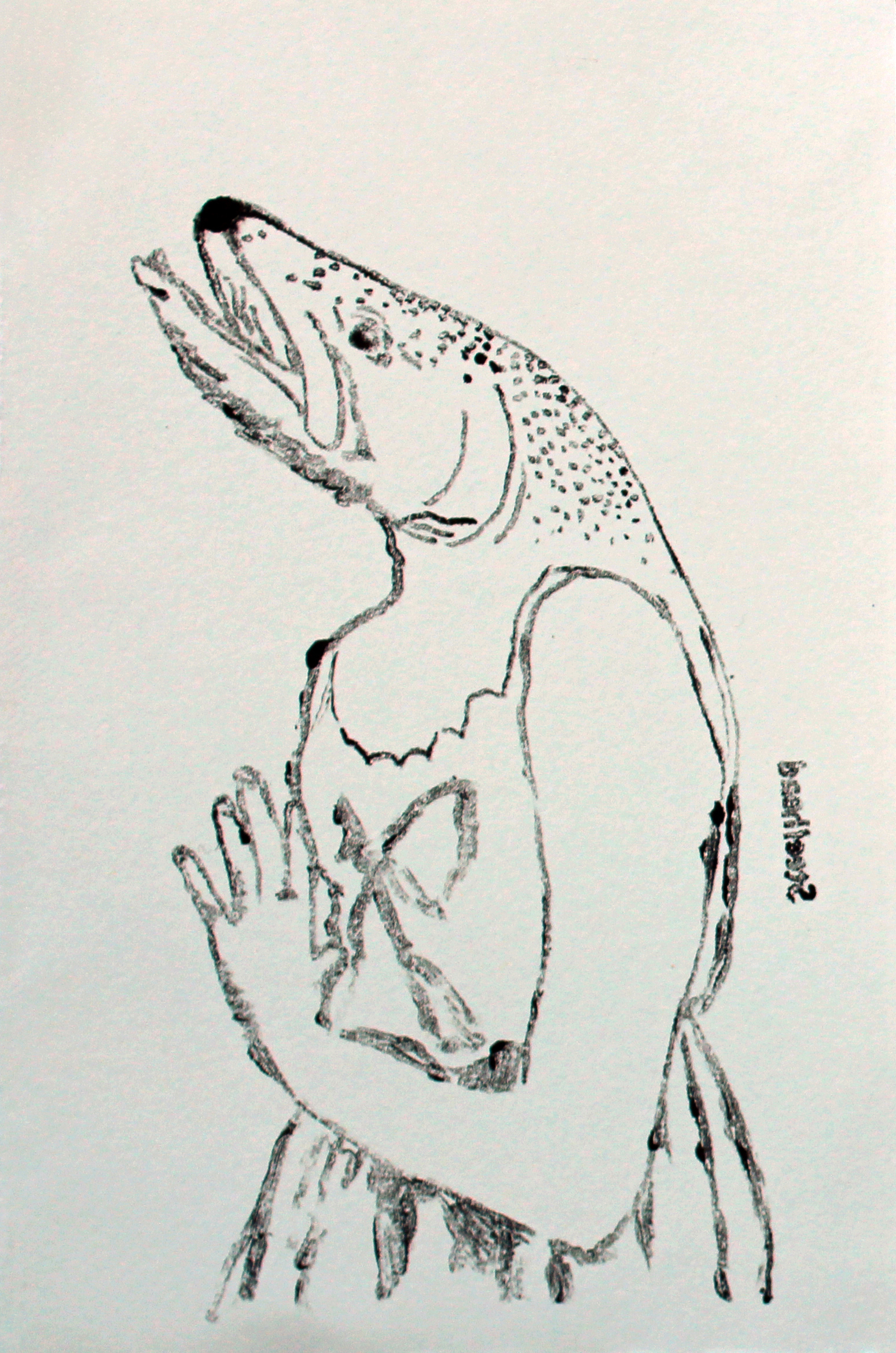 Steelhead Trout (Study)