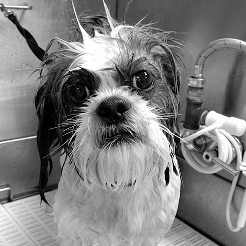 bath2.jpg