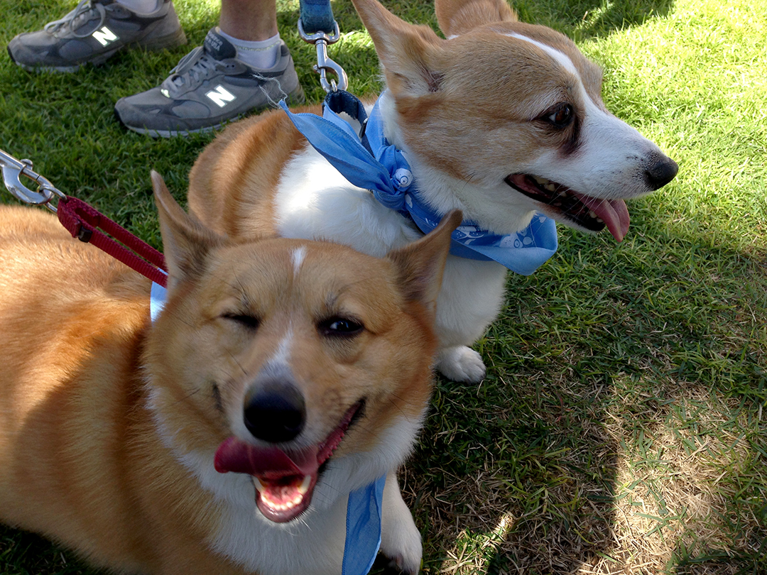 We go together like a wink and a smile...