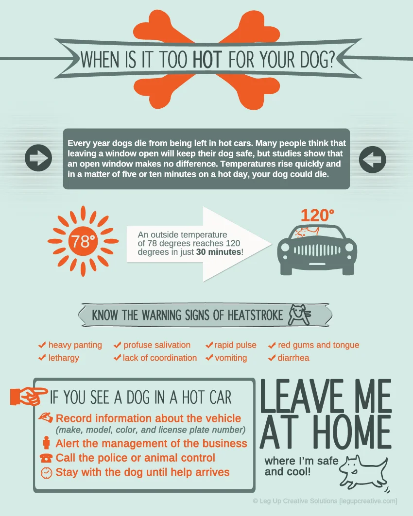 hotcar_infographic_web1.jpg