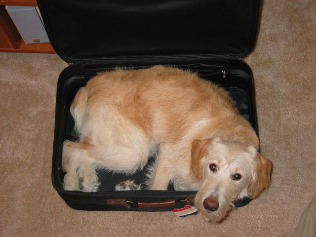 You're not leaving, are you?