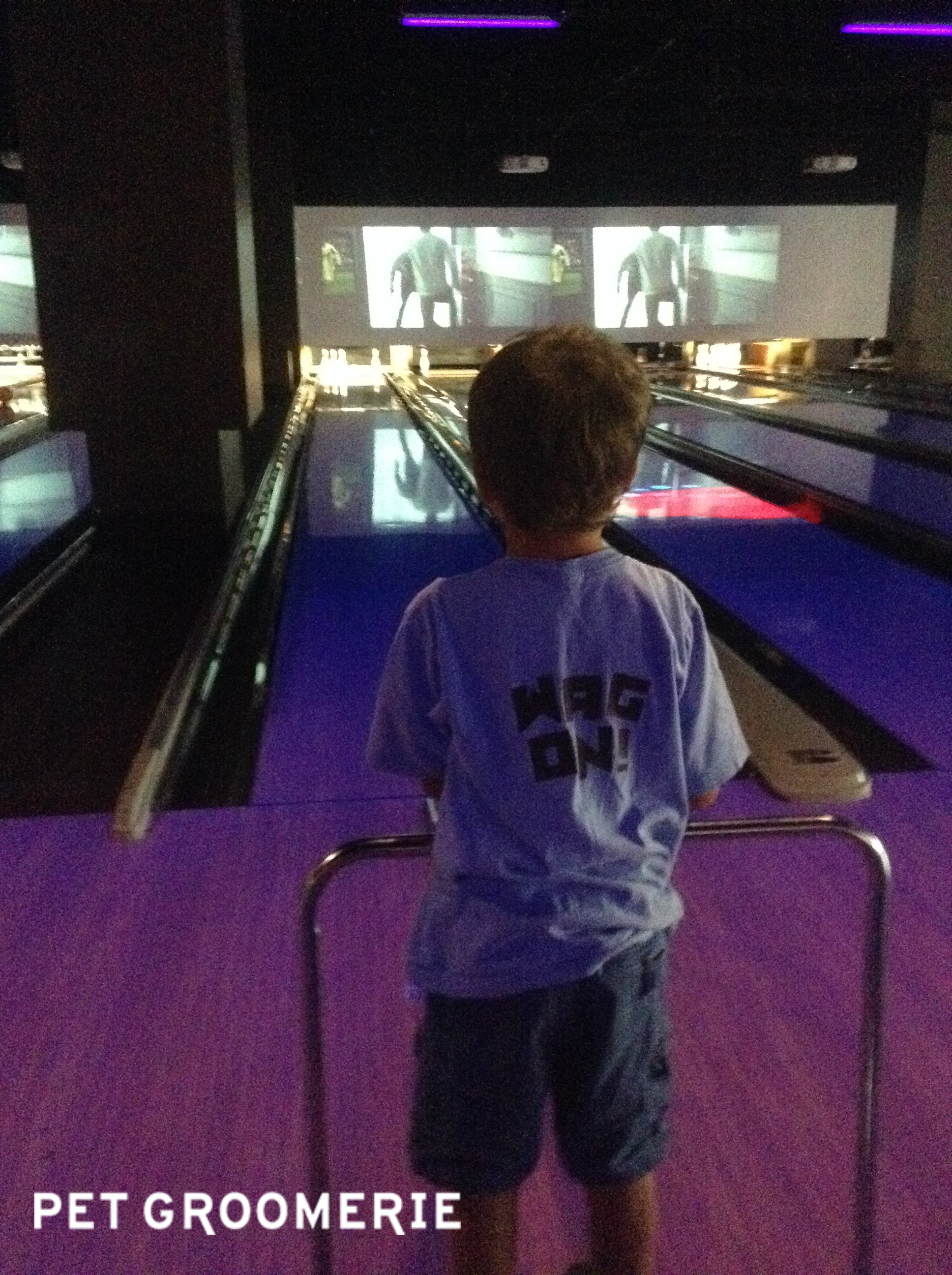 Wait, they're hiring KIDS now? A mini-Vogel wearing the Pet Groomerie flair.