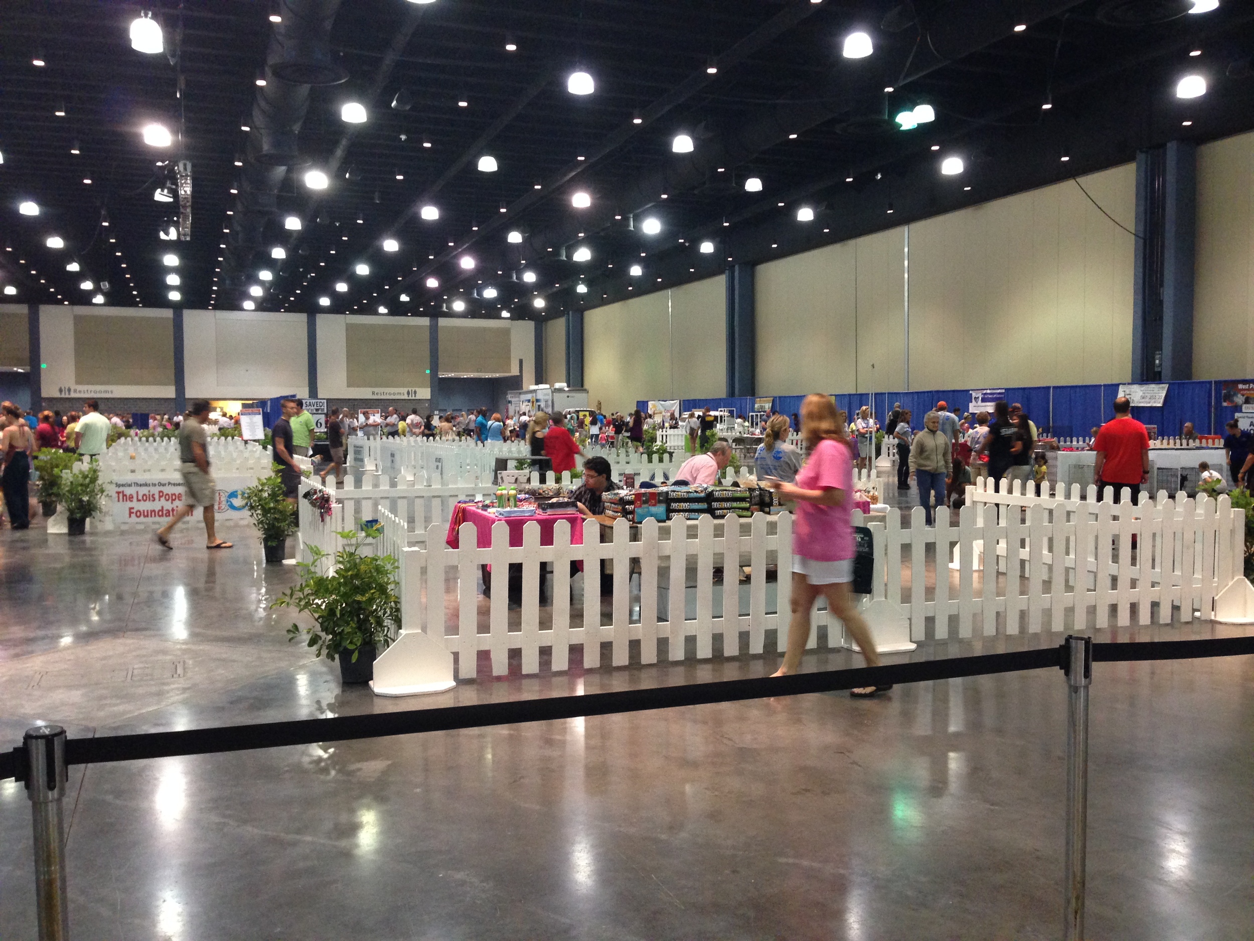 Before the crowds descended...