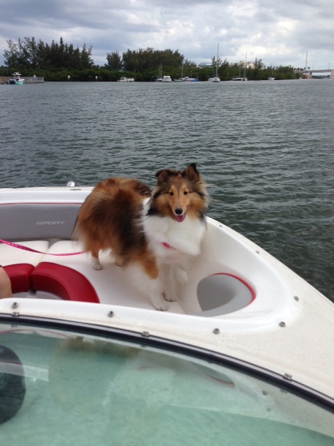 first mate!