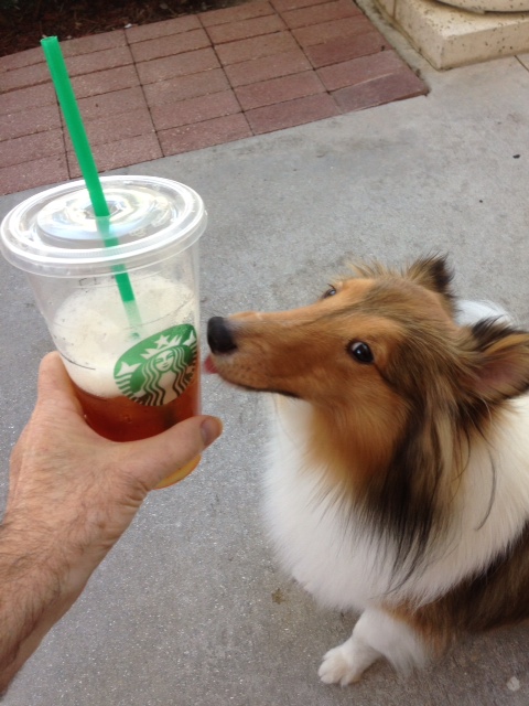 refreshing!