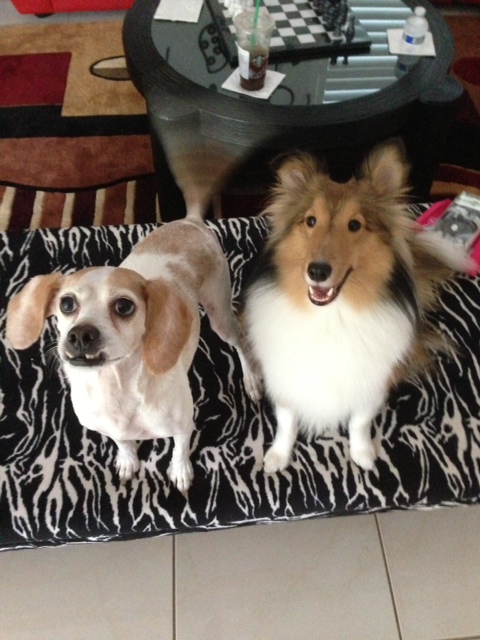playing with her cousin Cooper