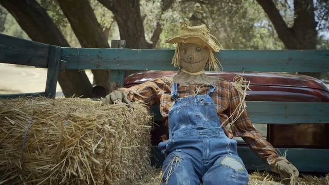 Farmer Boys, "The Arrival"