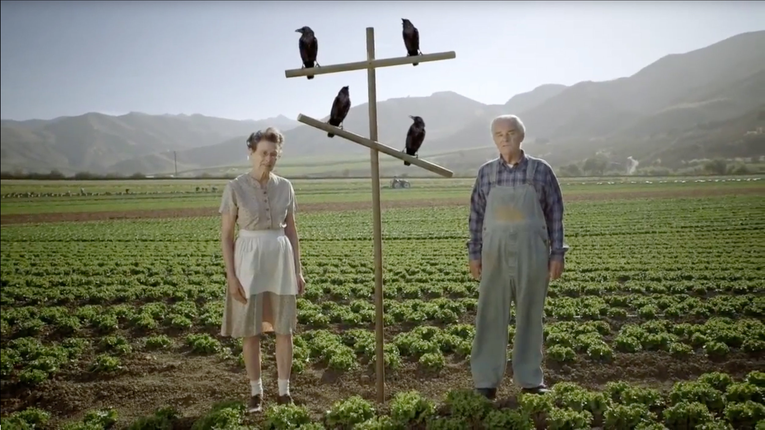 FarmerBoys_casestudy.jpg