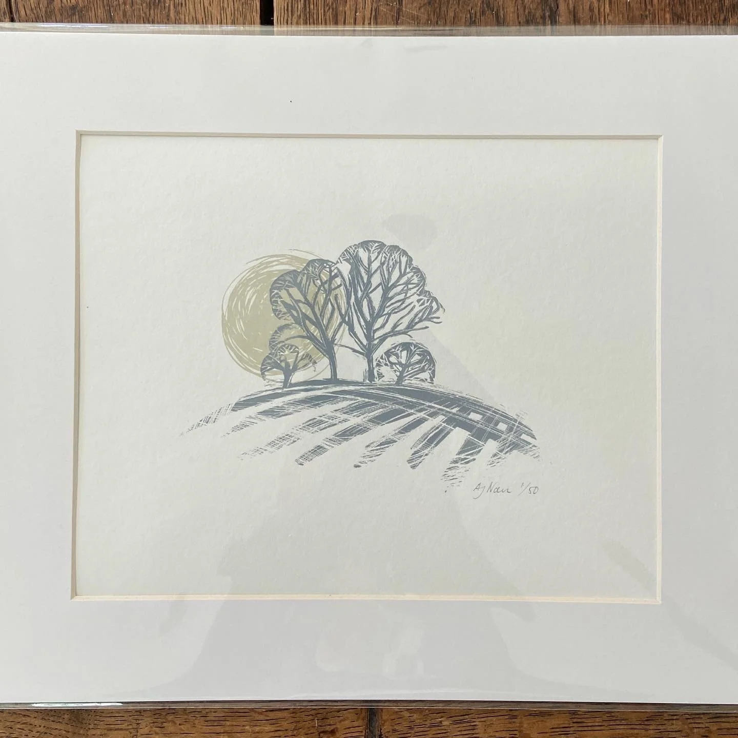 6CD0B488-7127-47C7-8FDF-3CD06481CA4E 3.JPG